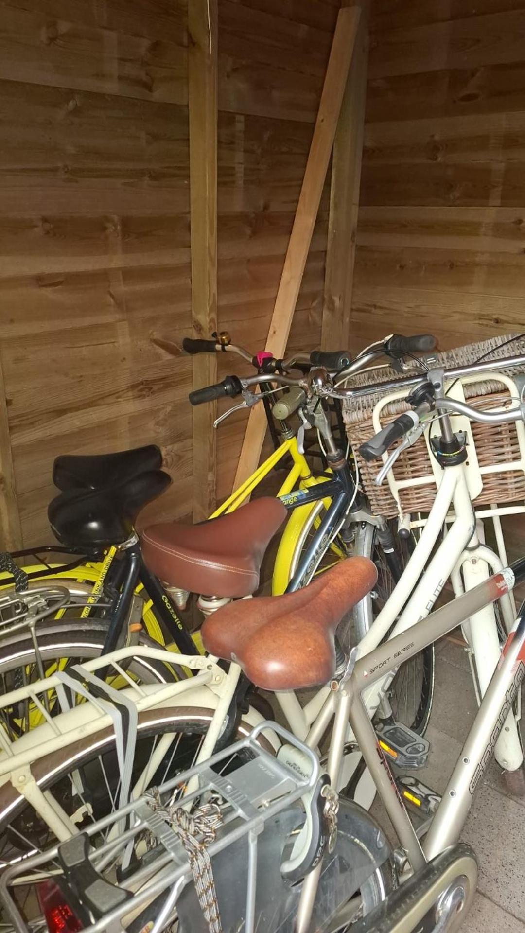 Lodge Inn Ameland T12, Inclusief Fietsen! Buren (Friesland) Zewnętrze zdjęcie